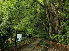 -石台牯牛降景区