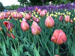 -长春公园(普阳街道)