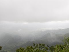 -大围山国家森林公园