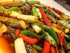 -院8里·小聚园老川菜(九眼桥店)