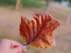 -钟山体育运动公园