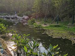 -白水寺森林公园