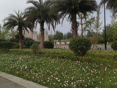 -府河摄影公园