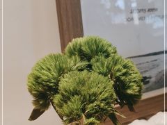 -椰子多多清补凉甜品店(河北路店)