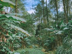 景点-福清灵石山国家森林公园