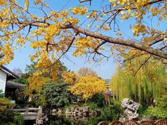 -东山雕花楼