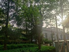 -后海公园