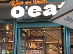 -O'eat Blossom&Pelican(深圳首店)