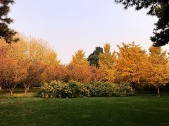 -钓鱼台国宾馆