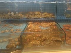 -冀粤香海鲜自助餐厅(西美五洲店)