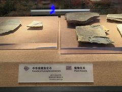 -烟台市博物馆
