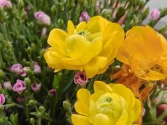 -泉乐坊步行街(烟酒特产平价超市店)