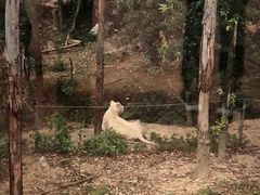 -泉州海丝野生动物世界