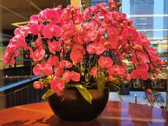 -上海静安香格里拉大酒店