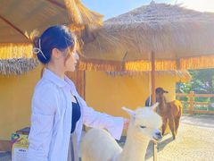 -珠海海泉湾神秘岛亲子乐园