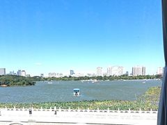 -鱼翅楼·津派砂锅鱼翅(水上公园店)