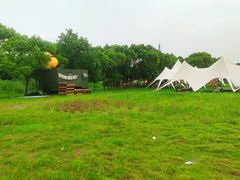 -动邦皮划艇·桨板·独木舟·团建户外运动俱乐部