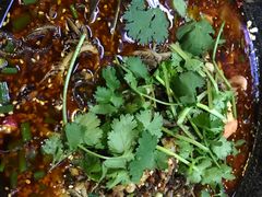 -宽窄巷子冒菜(中华广场店)