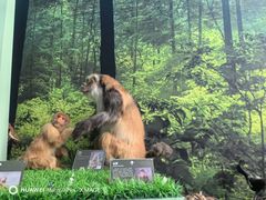 -房山世界地质公园博物馆