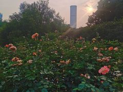 -人民公园(罗湖区)