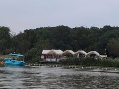 -昆山城市生态森林公园