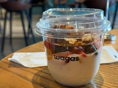 -Wagas沃歌斯(枫蓝国际店)