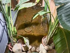 -邈墨茶馆(凤起路店)