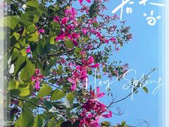 -海心沙亚运公园