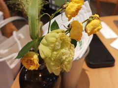 -O'eat Blossom&Pelican(深圳首店)