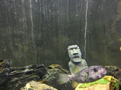 -梦幻海洋王国(吾悦广场张家港店)