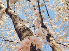 -永乐路-路侧停车场