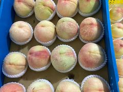 -老袁家蜜桃农场·阳山水蜜桃