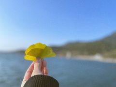 -逸廊大堂吧-下午茶·简餐-千岛湖自由洲际殿