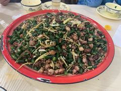 -东吴霸王兔(松青路店)