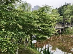 -沐仙湖湿地公园