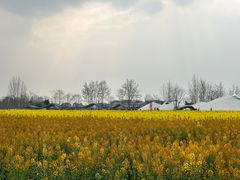 -中国天府农业博览园