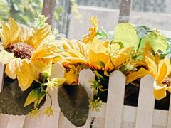 -弘烨 贵州酸汤 鱼火锅(东财店)