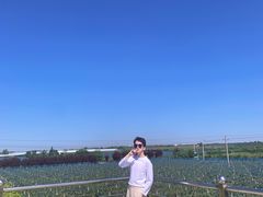 -白鹿原葡萄主题公园