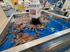 -盒马X会员店(上海森兰商都店)