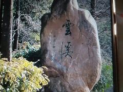 -云溪植物园