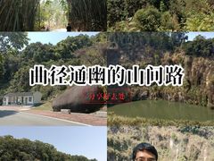 -火炉山森林公园