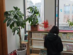 -子曰书院·古筝围棋书法国画小主持(夏都店)