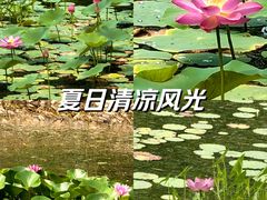 -丰台科技园生态主题公园