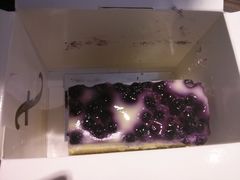 蓝莓cheese-榖屋house of flour(张江首店)