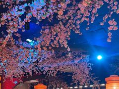 -荷塘秋月·本帮江浙菜(国权路店)