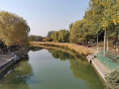 -大兴滨河森林公园