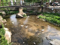 -北京水岸山吧度假村(雁栖镇店)