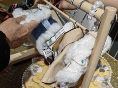 -星光摄影器材城