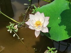 -龙头寺公园