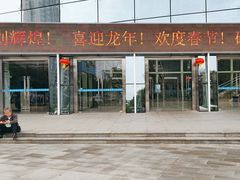 -广西体育中心-游泳馆